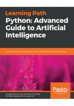 Python Advanced Guide to Artificial Intelligence