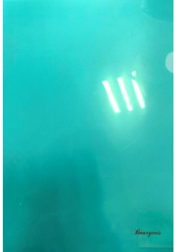 Teczka A4+ plastikowa koszulka L FRESH