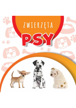 Wstęgi kartonowe. Psy