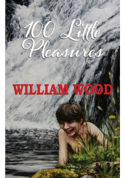 100 Little Pleasures