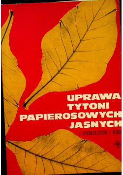 Uprawa tytoni papierosowych jasnych