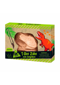 Wykopaliska ząb T-Rexa