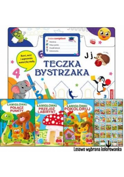 Teczka bystrzaka. Zestaw Łamigłówek