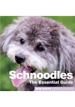 Schnoodles