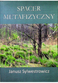 Spacer metafizyczny