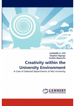 Creativity Within the University Environment