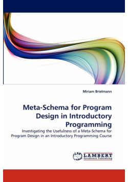 Meta-Schema for Program Design in Introductory Programming