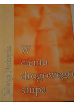 W cieniu drogowego słupa