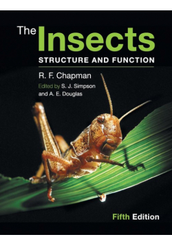The Insects