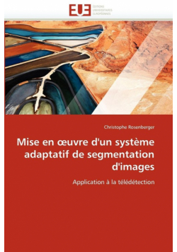 Mise en  uvre d'un système adaptatif de segmentation d'images