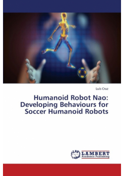 Humanoid Robot Nao