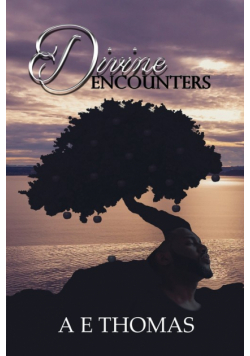 Divine Encounters