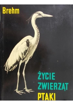 Życie zwierząt Ptaki