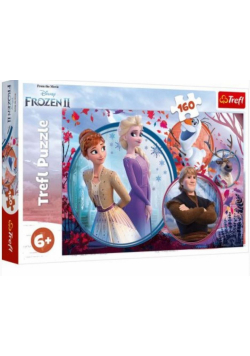 Puzzle 160 Siostrzana przygoda TREFL