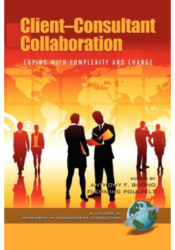 Client-Consultant Collaboration