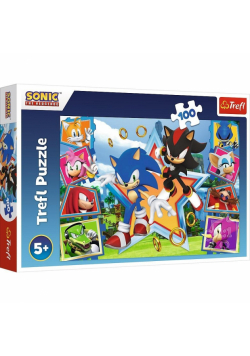 Puzzle 100 Poznaj Sonica TREFL