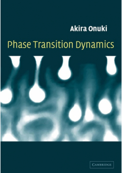 Phase Transition Dynamics