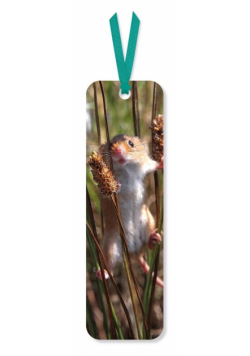 Zakładka do książki Harvest Mouse