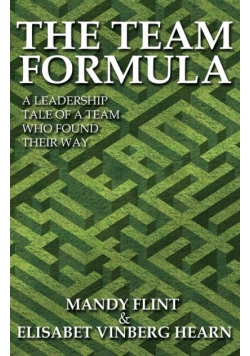 The Team Formula - A Leadership Tale of a Team Who Found Their Way