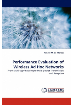 Performance Evaluation of Wireless Ad Hoc Networks