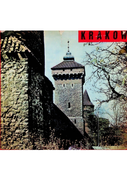 Kraków krajobraz i architektura