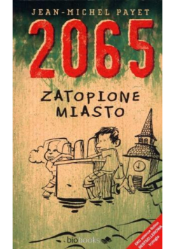 2065. Zatopione miasto