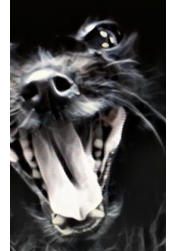 Roar Black Pom drawing Journal
