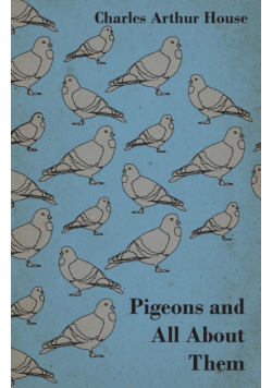 Pigeons and All About Them