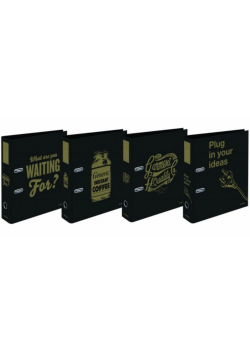 Segregator A4/2R 7cm z dźwignią Clever Gold