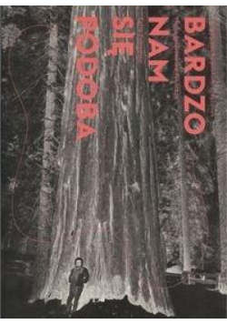 Bardzo nam się podoba