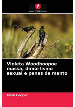 Violeta Woodhoopoe massa, dimorfismo sexual e penas de manto