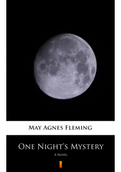 One Night’s Mystery. A Novel