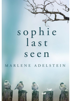 Sophie Last Seen