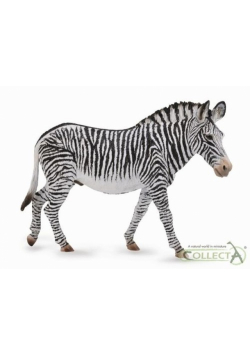 Zebra Grevys XL