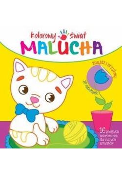 Kolorowy świat malucha. Kot