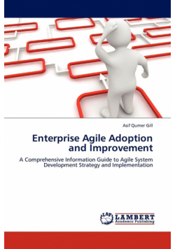 Enterprise Agile Adoption and Improvement