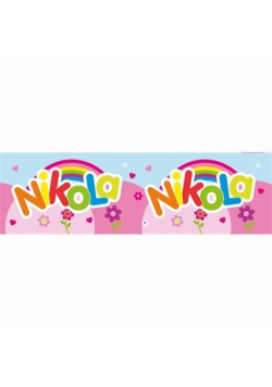 Bidon 300ml Nikola