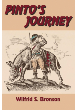 Pinto's Journey