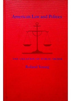 American law and politics