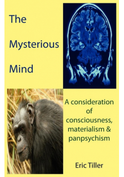 The Mysterious Mind