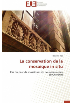 La conservation de la mosaïque in situ