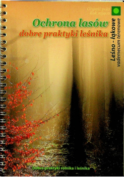 Ochrona lasów dobre praktyki leśnika