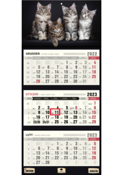 Kalendarz ścienny Trójdzielny Kotki