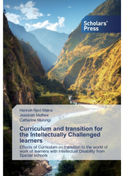 Curriculum and transition for the Intellectually Challenged learners