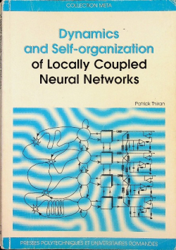 Dynamics and self organization of locally coupled neural networks
