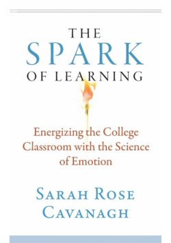 The Spark of Learning