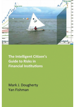 The Intelligent Citizen's Guide to Risks in Financial Institutions