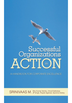 Successful Organizations in Action