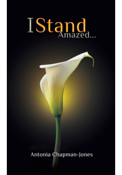 I Stand Amazed...