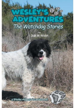 Wesley's Adventures